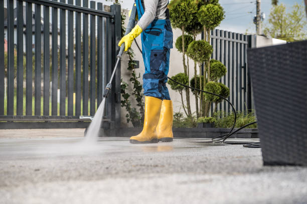 Best House Exterior Washing  in Honeyville, UT