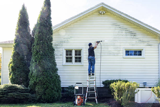 Best Dumpster Area Cleaning  in Honeyville, UT